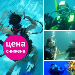 Урок дайвинга. Discover Scuba Diving. Закрытая вода Урок дайвинга. Discover Scuba Diving. Закрытая вода