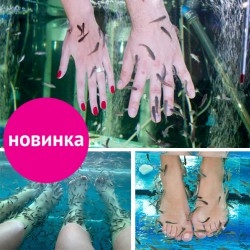 Фиш-массаж для двоих Фиш-массаж для двоих