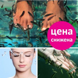 Биопилинг рыбками Garra Rufa Биопилинг рыбками Garra Rufa
