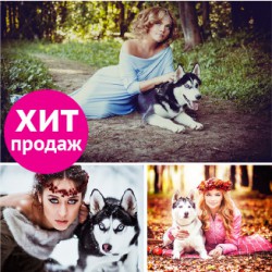 Фотосессия с хаски Фотосессия с хаски