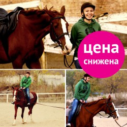 Урок верховой езды Урок верховой езды