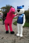 Игогоша и Disly